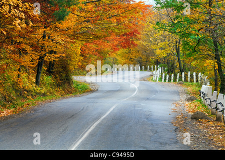 Avvolgimento di autunno strada secondaria nelle foreste di montagna Foto Stock