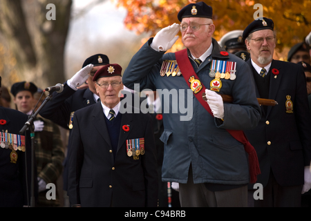 London Ontario, Canada - 11 novembre 2011. Giorno del Ricordo cerimonie presso il cenotafio in Victoria Park di Londra Ontario in Canada. Foto Stock