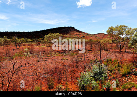 Outback australiano paesaggio, Pilbara Australia Occidentale Foto Stock