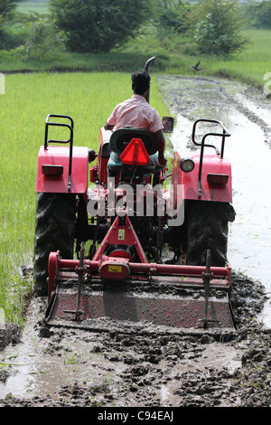 Preparazione del trattore una risaia Tamil Nadu India Foto Stock