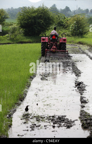 Preparazione del trattore una risaia Tamil Nadu India Foto Stock