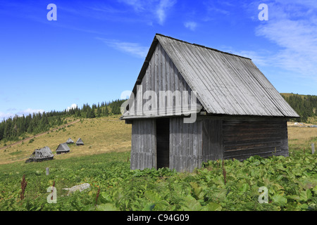 Tradizionale antica casa di legno che può essere trovato in Apuseni Montagne,Transilvania,Romania. Foto Stock