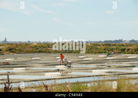 Marais Salants, saline, nei pressi di Batz-sur-Mer sulla penisola di Guérande nel dipartimento Loire-Atlantique, Francia Foto Stock