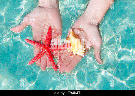 Mani di stelle marine e conchiglie ripple in mare pulito acqua tropicale Foto Stock