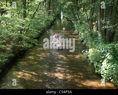 Tre ragazzi giocare in un ruscello in un bosco vicino a Brietlingen, Bassa Sassonia, Germania. Foto Stock