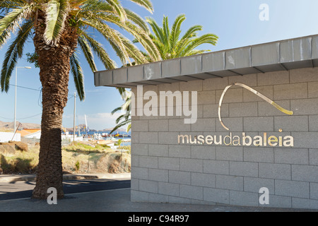 Il Museu de Baleia - conico, Madeira, Portogallo, Europa Foto Stock