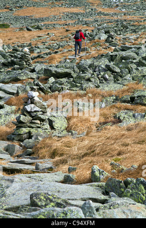 Mount Washington è la vetta più alta dell'NE Stati Uniti a 6,288 piedi (1,917 m), famosa per pericolosamente meteo irregolare. Foto Stock