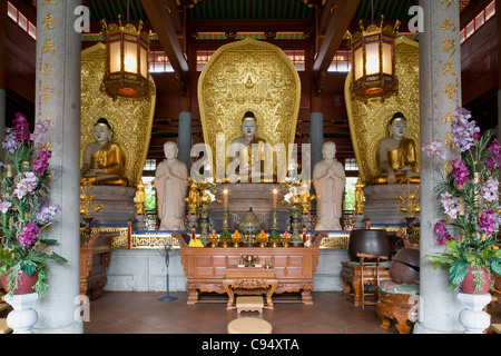 Lian Shan Shuang Lin monastero - Mahavira Hall / statue dei tre Buddha Sakyamuni, Amitabha & Batshaiyaguru. Foto Stock