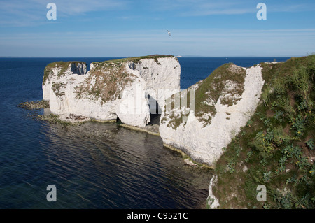 Old Harry Rocks. Massive chalk pile in piedi appena fuori le vertiginose scogliere calcaree della costa Purbeck. Il Dorset, Inghilterra, Regno Unito. Foto Stock