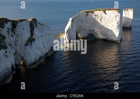 Old Harry Rocks. Massive chalk pile in piedi appena fuori le vertiginose scogliere calcaree della costa Purbeck. Il Dorset, Inghilterra, Regno Unito. Foto Stock