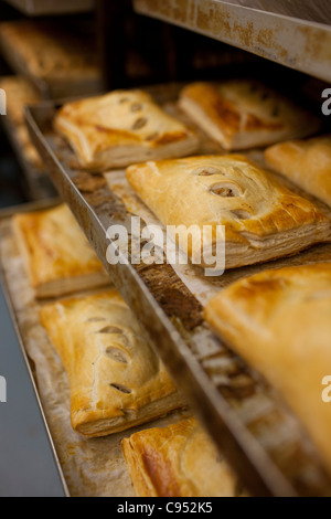 Salatini in vassoi da forno pasties Foto Stock