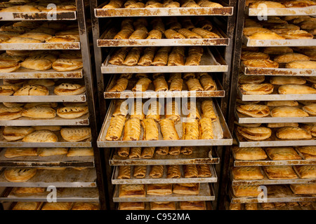 Salatini in vassoi da forno Foto Stock