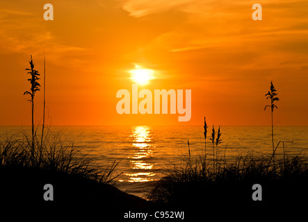 Mare di avena sunrise, Outer Banks, North Carolina, STATI UNITI D'AMERICA Foto Stock