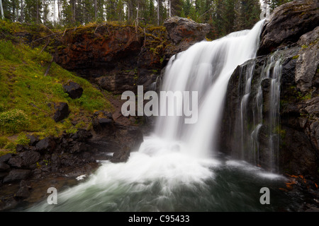 Moose falls sono 30 piedi di immergersi su aragosta creek nel parco nazionale di Yellowstone. Le cascate sono stati nominati nel 1885 per il numero di alci che popolarono la parte meridionale del parco sono situati molto vicino all'entrata sud del parco nazionale di Yellowstone. Foto Stock