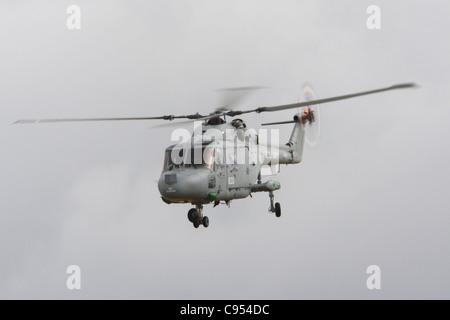 Royal Navy Lynx ZD250 Foto Stock