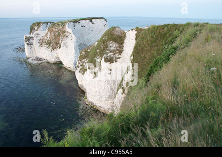 Old Harry Rocks. Massive chalk pile in piedi appena fuori le vertiginose scogliere calcaree della costa Purbeck. Il Dorset, Inghilterra, Regno Unito. Foto Stock