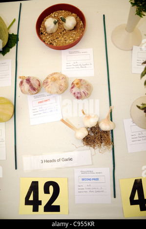 Le verdure sul display per la concorrenza al paese mostrano, UK. Foto Stock