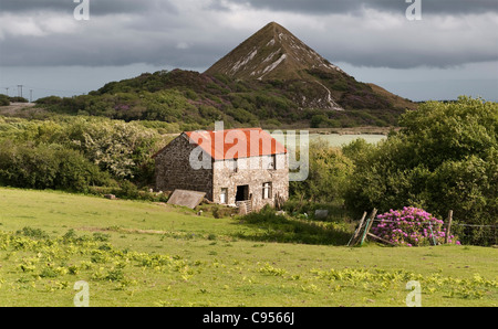 Un vecchio pozzo di argilla della cina e rovinare un mucchio sopra St Austell, Cornovaglia, Regno Unito. Il sito viene lentamente recuperato dalla natura Foto Stock