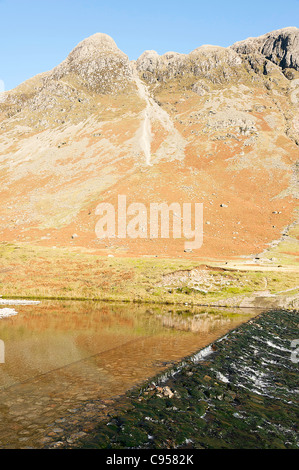 Pike of Stickle e The Langdale Pikes vicino Dungeon Ghyll nel Parco Nazionale del Distretto dei Laghi Cumbria Inghilterra England Regno Unito Regno Unito Foto Stock