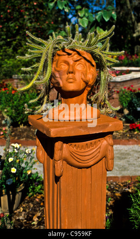 Closeup / close up divertente Cactus pianta lady's busto terra cotta pentole testa flowerpot display, Florida, Stati Uniti d'America, Stati Uniti, America, stuario donna urna Foto Stock