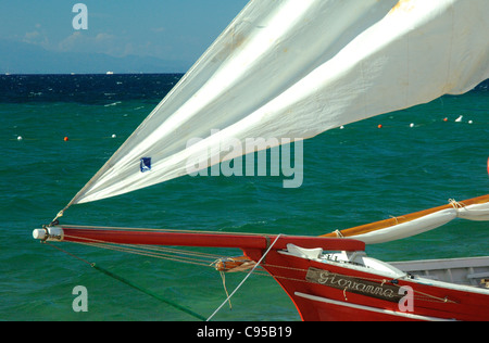 Spinnaker vela di un Latino in barca a vela a Porto Pollo beach,Palau,Sardegna Foto Stock
