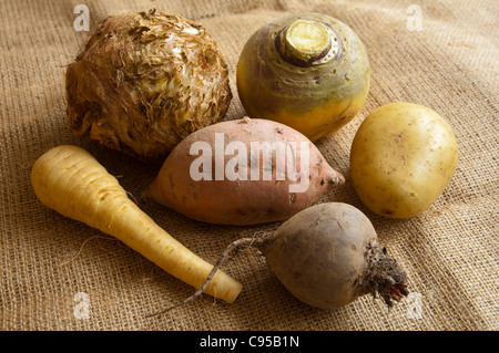 Inverno ortaggi a radice - sedano rapa, svedese, patate, patata dolce, la pastinaca e barbabietola. Regno Unito Foto Stock