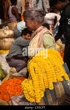India Bengala Occidentale, Calcutta, Mullik Ghat, il mercato dei fiori, la donna con le stringhe di tagete ghirlande sul suo braccio Foto Stock