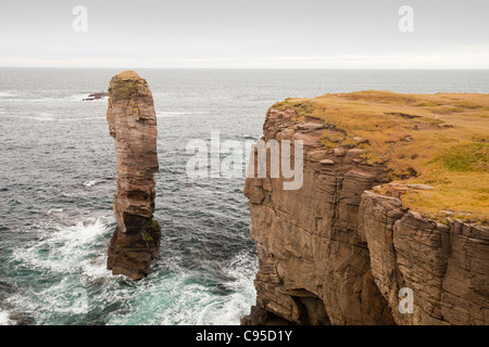 Yesnaby Castello, una pila di mare a Yesnaby su Orkney continentale costa ovest, Scotland, Regno Unito. Foto Stock