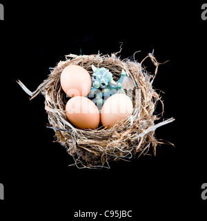 Baby draghi in un nido di uccelli Foto Stock