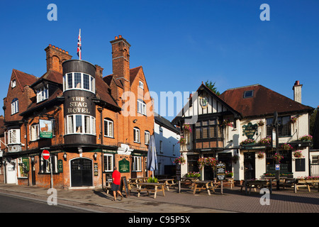 Inghilterra, Hampshire, New Forest, Lyndhurst, Pub Foto Stock