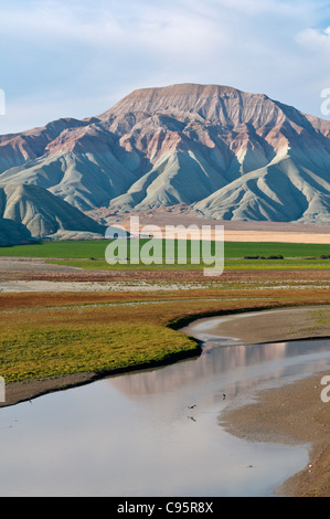 Nallihan paradiso degli uccelli,Ankara, Turchia Foto Stock