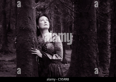 Madonna del Bosco - Giovanni Gollop Foto Stock