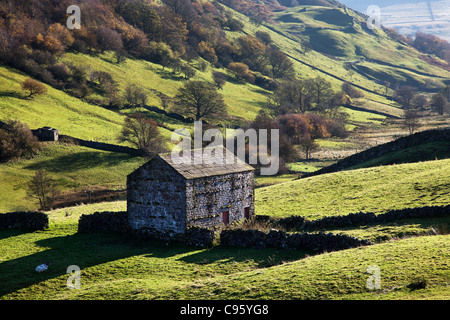 Granai in pietra in una valle vicino a Thwaite, Muker, Swaledale, Yorkshire Dales National Park Richmondshire, REGNO UNITO Foto Stock