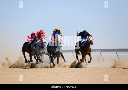 Horse Racing nell'outback australiano, all'annuale Birdsville le gare di coppa. Foto Stock