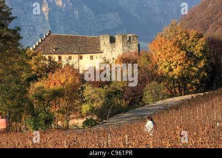 Castello di Monreale (castello), Trentino, Italia Foto Stock