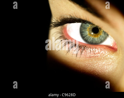 Occhio della donna. Foto Stock