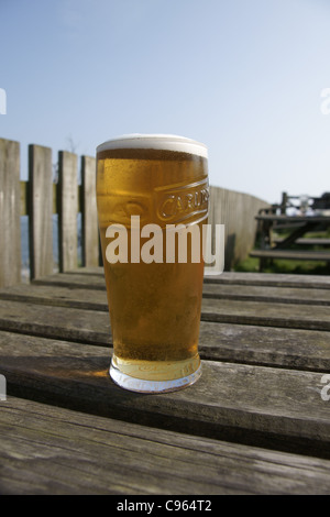 Un uomo di bere una pinta di birra al sole, Inghilterra, Regno Unito. Foto Stock