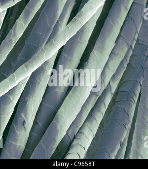 Cashmere fibre di lana color scanning electron microfotografia (SEM). Ingrandimento: x500 quando stampata a 10 cm di larghezza. Foto Stock