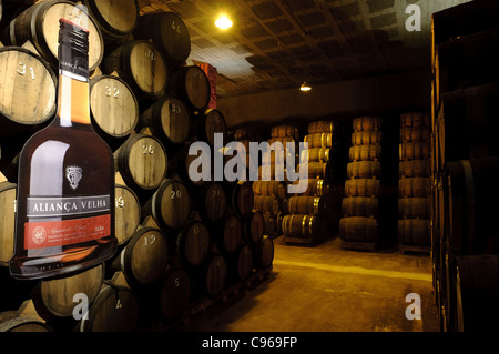 Invecchiamento del vino in botti presso le grotte Aliança cantina, Sangalhos, Portogallo, Europa Foto Stock