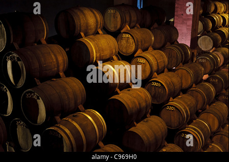 Invecchiamento del vino in botti presso le grotte Aliança cantina, Sangalhos, Portogallo, Europa Foto Stock