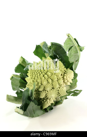 Romanesco fresche verdure su sfondo bianco Foto Stock