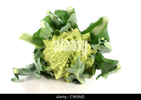 Romanesco fresche verdure con foglie su sfondo bianco Foto Stock