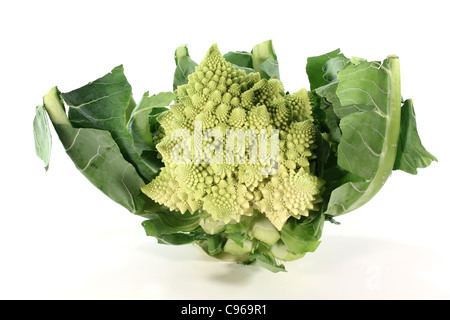 Luminoso fresco romanesco di verdure con foglie su sfondo bianco Foto Stock