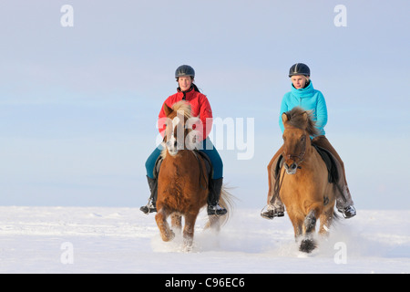 Due giovani rider su islandese di cavalli al galoppo in snow Foto Stock