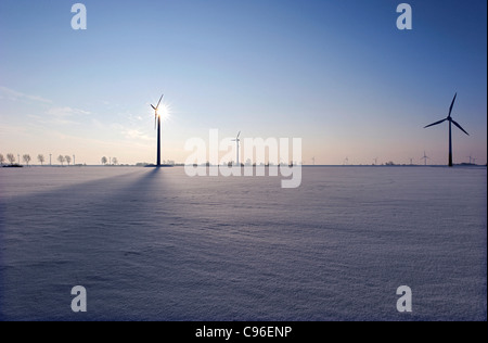 Mulini a vento, neve, in inverno, Kronprinzenkoog village, Kreis Dithmarschen distretto, Schleswig-Holstein, Germania, Europa Foto Stock