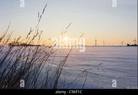 Mulini a vento, neve, in inverno, Kronprinzenkoog village, Kreis Dithmarschen distretto, Schleswig-Holstein, Germania, Europa Foto Stock