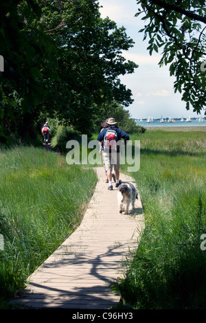 Gli scuotipaglia e il cane in modo Lipchis sentiero, accanto al porto di Chichester, tra Itchenor e West Wittering, West Sussex Foto Stock