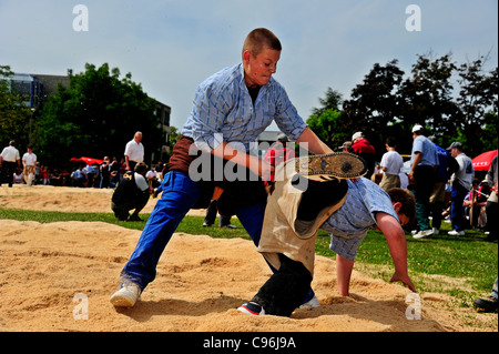 Tradizionale wrestling svizzero Foto Stock