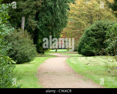 Un sentiero di bosco attraverso gli alberi con autunno foglie colorate tra cui un rosso acer Foto Stock
