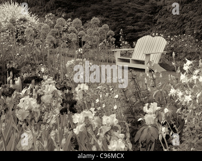 Iris e altre piante da fiore con sedia a Schriners Iris giardino. Oregon Foto Stock